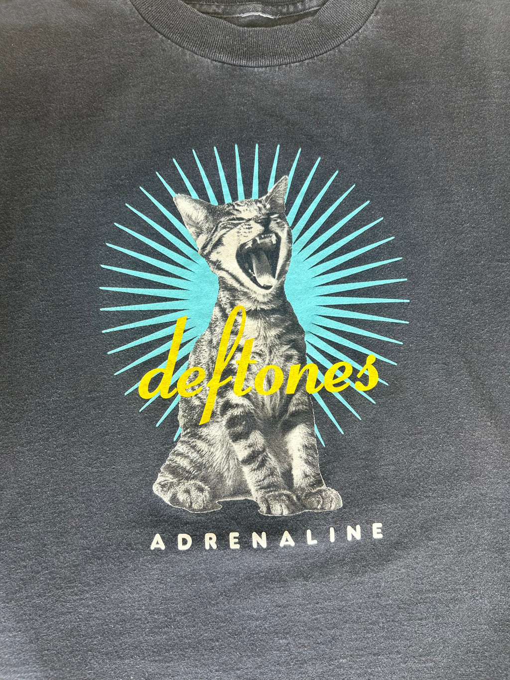 90’s Deftones Adrenaline Tee XL